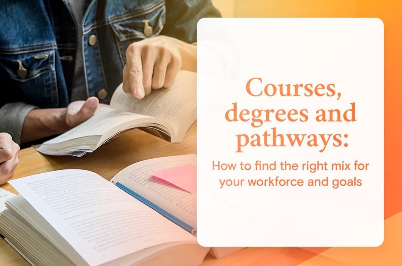courses degrees and pathways image